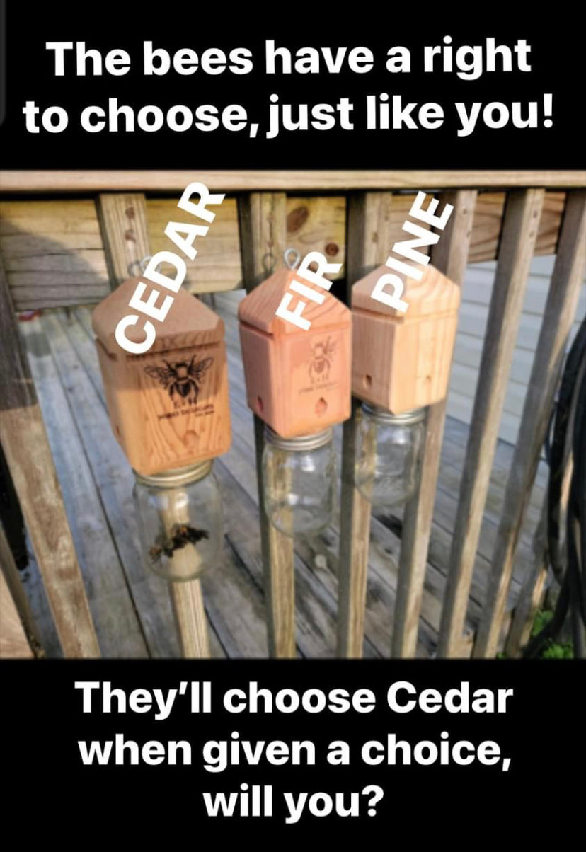 Cedar carpenter bee trap